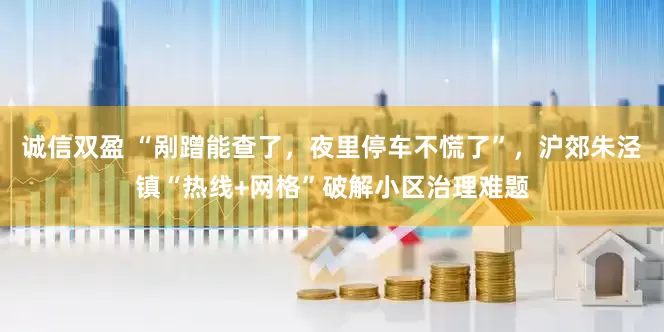 诚信双盈 “剐蹭能查了，夜里停车不慌了”，沪郊朱泾镇“热线+网格”破解小区治理难题
